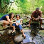 Family Vacation Fun in the Great Smoky Mountains National Park